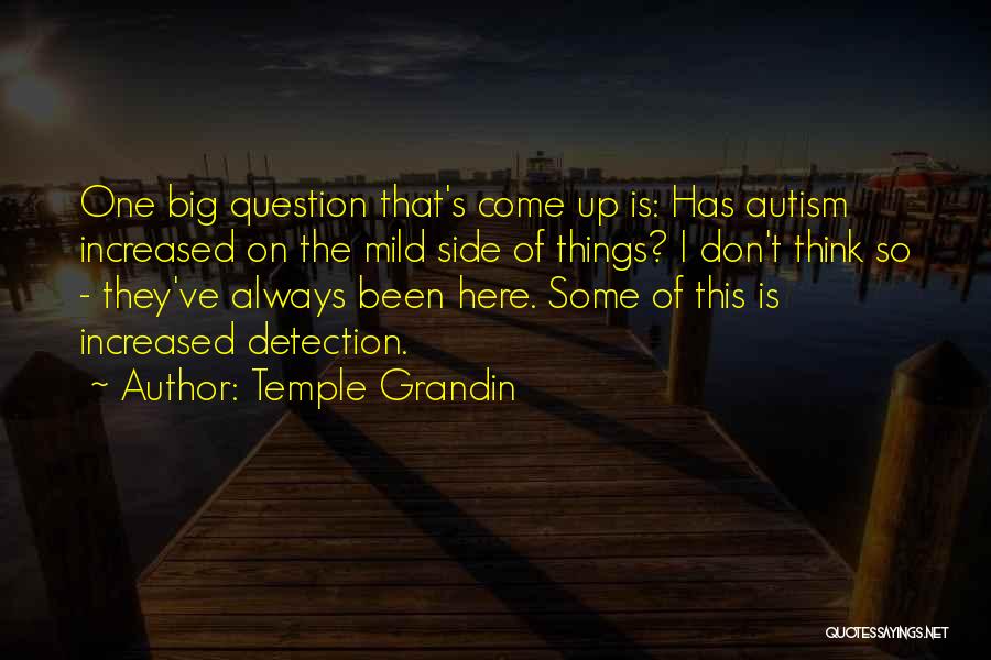 Temple Grandin Quotes: One Big Question That's Come Up Is: Has Autism Increased On The Mild Side Of Things? I Don't Think So