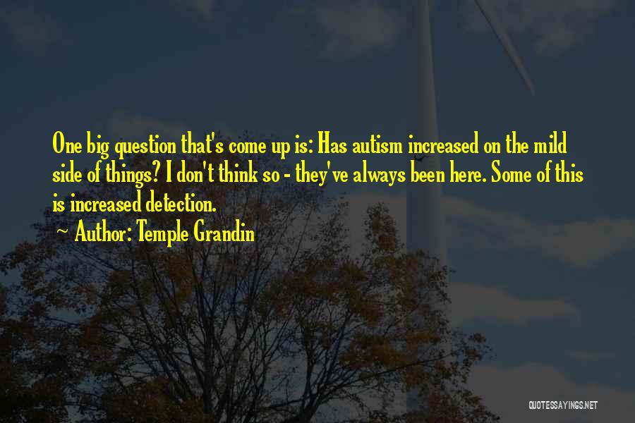 Temple Grandin Quotes: One Big Question That's Come Up Is: Has Autism Increased On The Mild Side Of Things? I Don't Think So