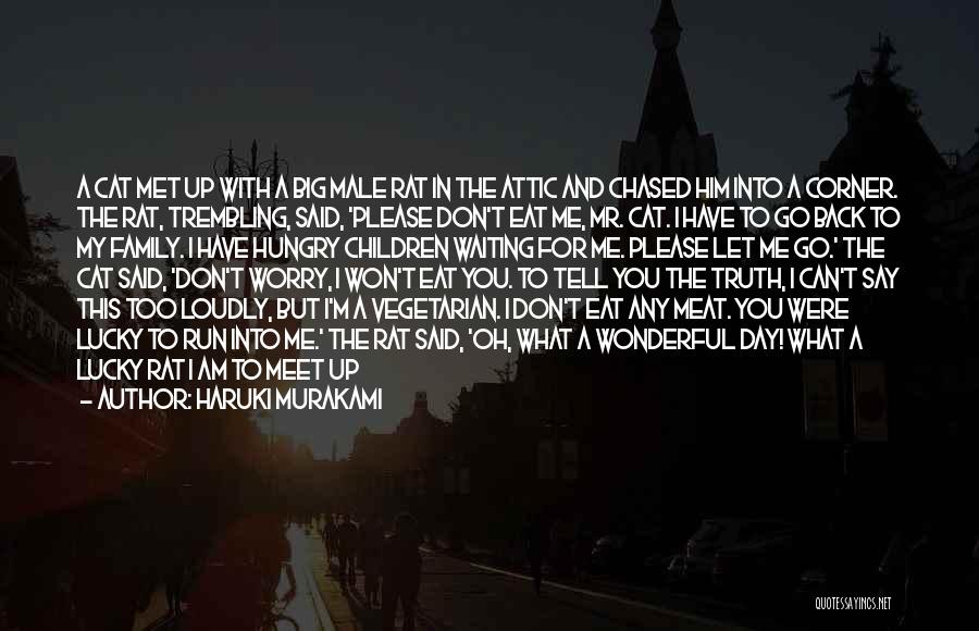 Haruki Murakami Quotes: A Cat Met Up With A Big Male Rat In The Attic And Chased Him Into A Corner. The Rat,