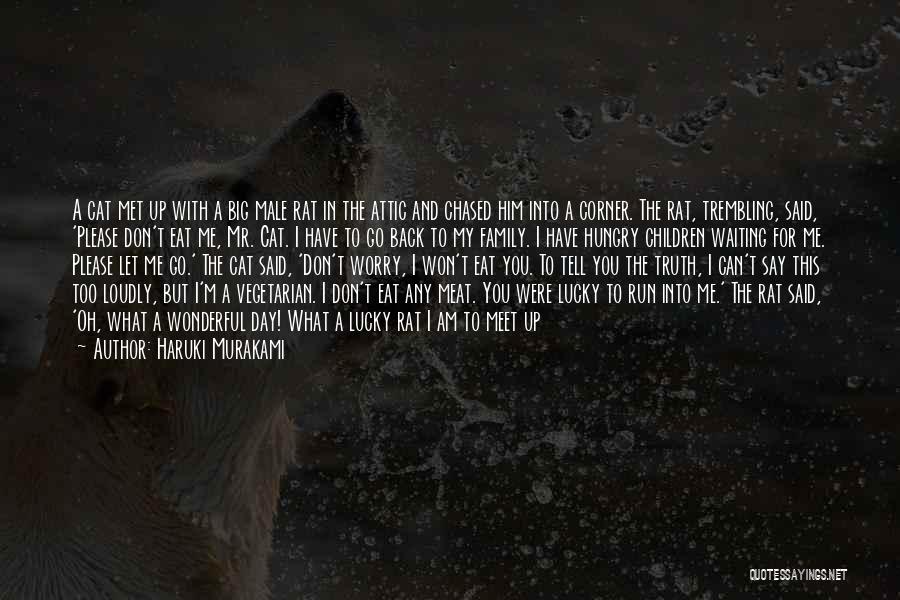 Haruki Murakami Quotes: A Cat Met Up With A Big Male Rat In The Attic And Chased Him Into A Corner. The Rat,