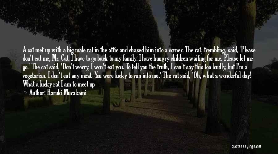 Haruki Murakami Quotes: A Cat Met Up With A Big Male Rat In The Attic And Chased Him Into A Corner. The Rat,