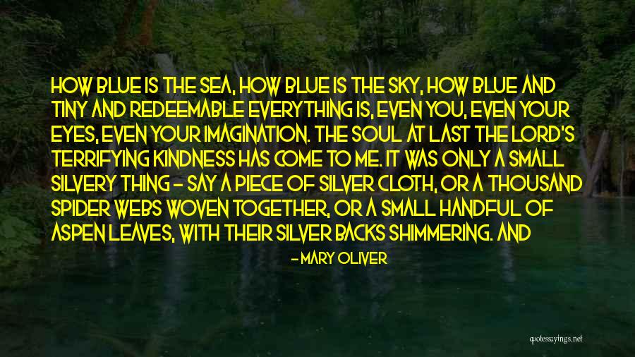 30stm Triad Quotes By Mary Oliver