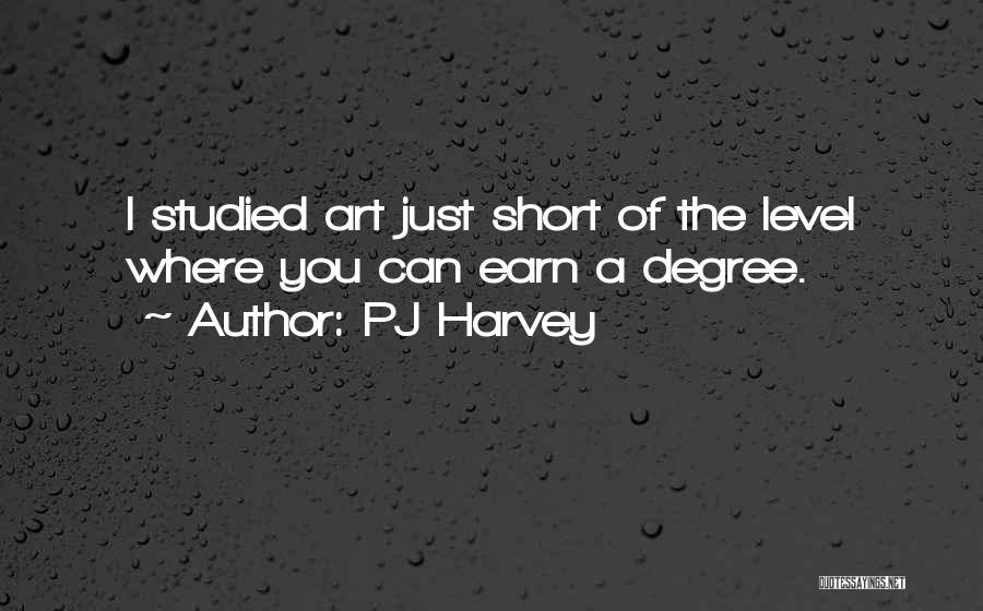 PJ Harvey Quotes: I Studied Art Just Short Of The Level Where You Can Earn A Degree.