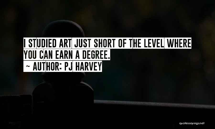 PJ Harvey Quotes: I Studied Art Just Short Of The Level Where You Can Earn A Degree.