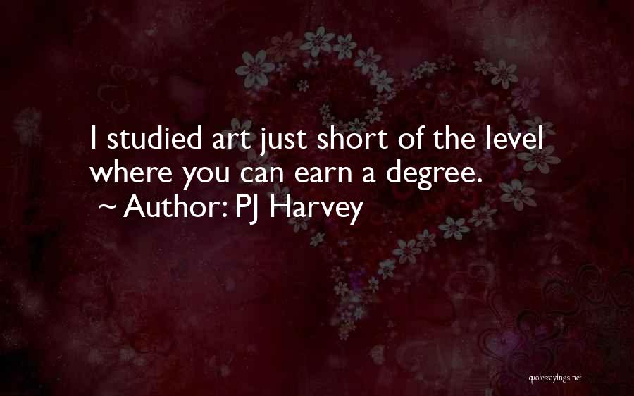 PJ Harvey Quotes: I Studied Art Just Short Of The Level Where You Can Earn A Degree.