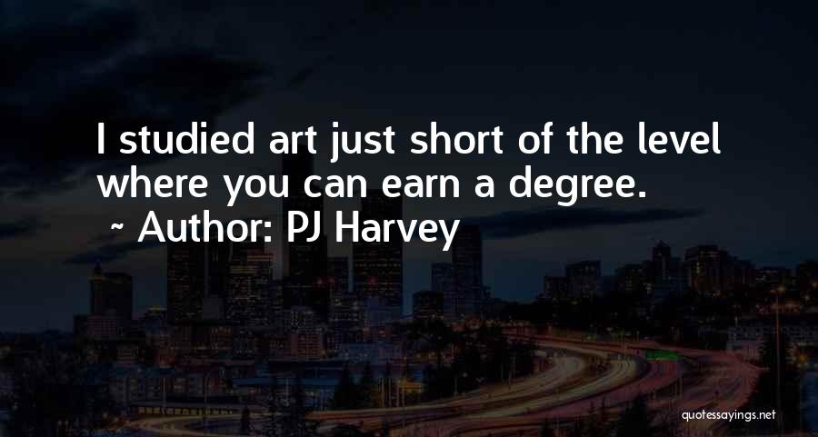 PJ Harvey Quotes: I Studied Art Just Short Of The Level Where You Can Earn A Degree.