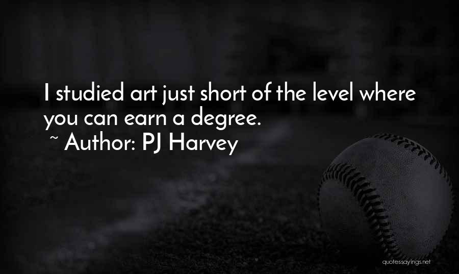 PJ Harvey Quotes: I Studied Art Just Short Of The Level Where You Can Earn A Degree.