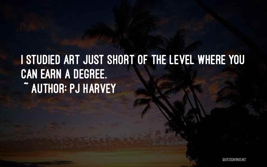 PJ Harvey Quotes: I Studied Art Just Short Of The Level Where You Can Earn A Degree.