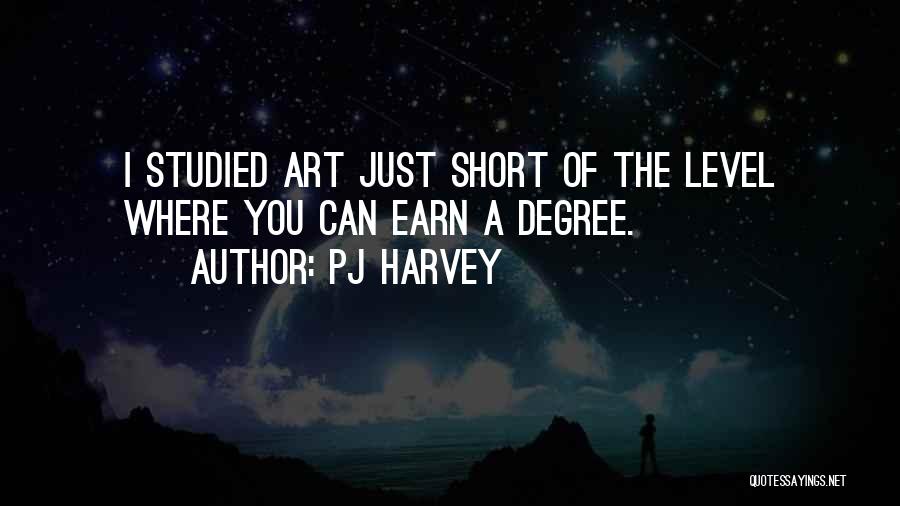 PJ Harvey Quotes: I Studied Art Just Short Of The Level Where You Can Earn A Degree.