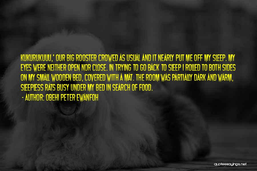 Obehi Peter Ewanfoh Quotes: Kukurukuuu,' Our Big Rooster Crowed As Usual And It Nearly Put Me Off My Sleep. My Eyes Were Neither Open