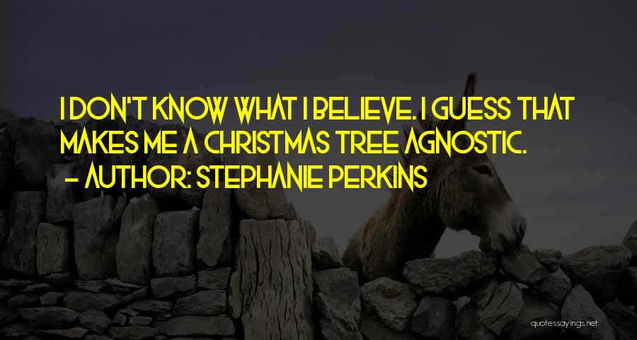 Stephanie Perkins Quotes: I Don't Know What I Believe. I Guess That Makes Me A Christmas Tree Agnostic.