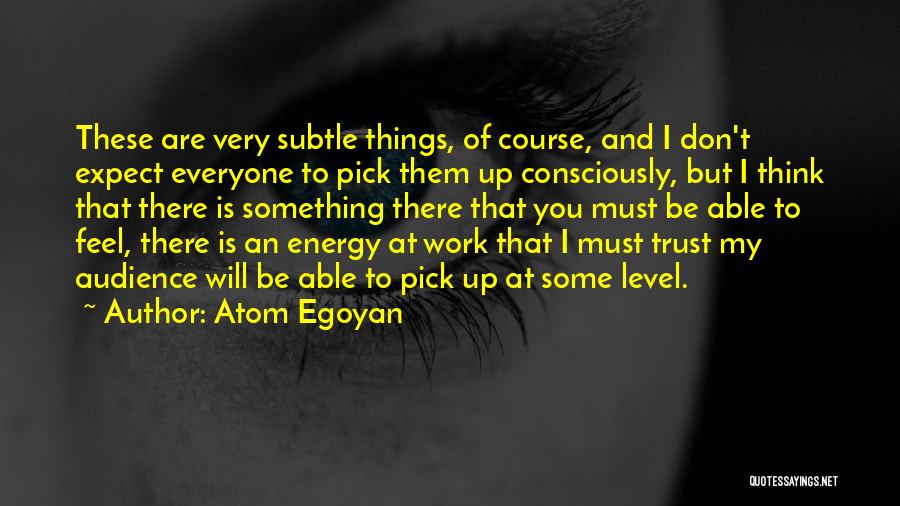 Atom Egoyan Quotes: These Are Very Subtle Things, Of Course, And I Don't Expect Everyone To Pick Them Up Consciously, But I Think