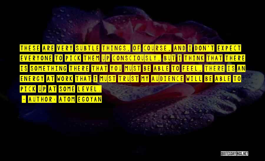 Atom Egoyan Quotes: These Are Very Subtle Things, Of Course, And I Don't Expect Everyone To Pick Them Up Consciously, But I Think