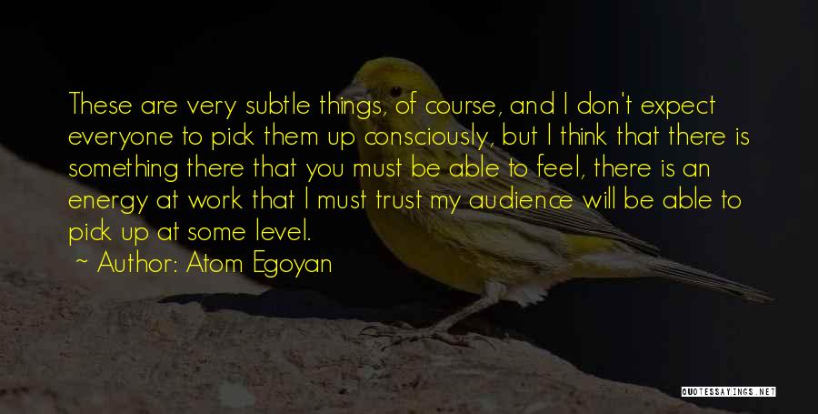 Atom Egoyan Quotes: These Are Very Subtle Things, Of Course, And I Don't Expect Everyone To Pick Them Up Consciously, But I Think