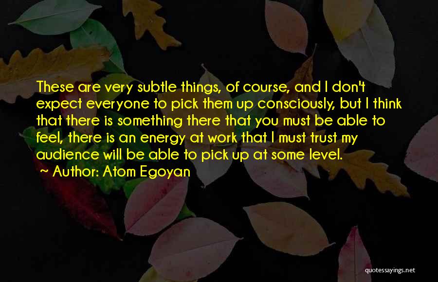 Atom Egoyan Quotes: These Are Very Subtle Things, Of Course, And I Don't Expect Everyone To Pick Them Up Consciously, But I Think