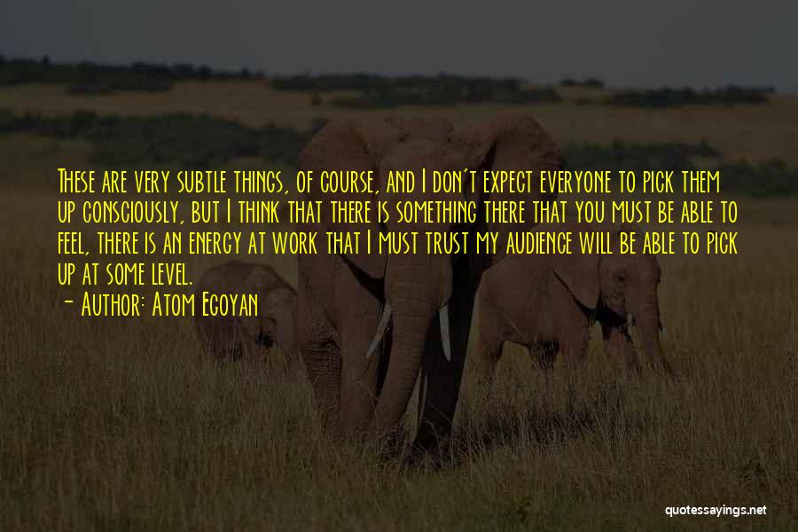 Atom Egoyan Quotes: These Are Very Subtle Things, Of Course, And I Don't Expect Everyone To Pick Them Up Consciously, But I Think