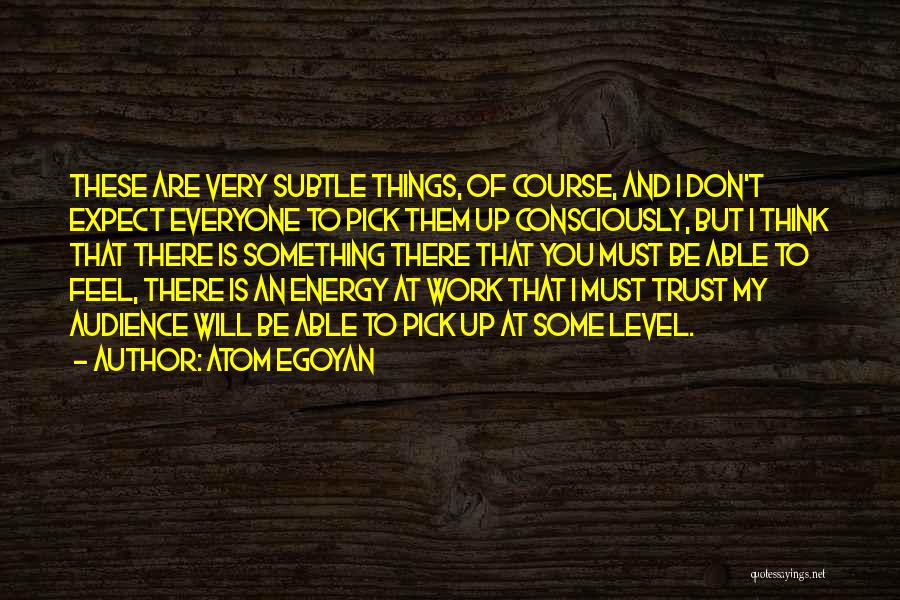 Atom Egoyan Quotes: These Are Very Subtle Things, Of Course, And I Don't Expect Everyone To Pick Them Up Consciously, But I Think