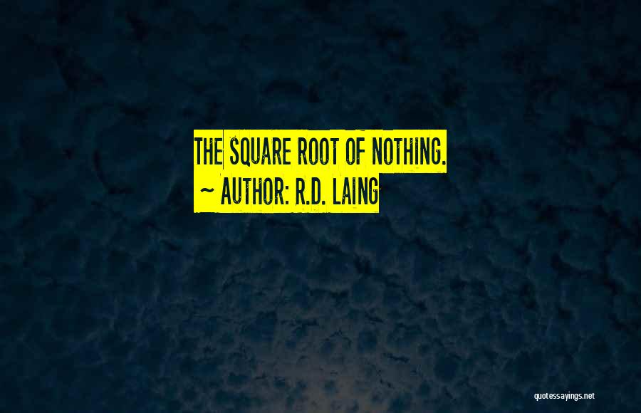 R.D. Laing Quotes: The Square Root Of Nothing.