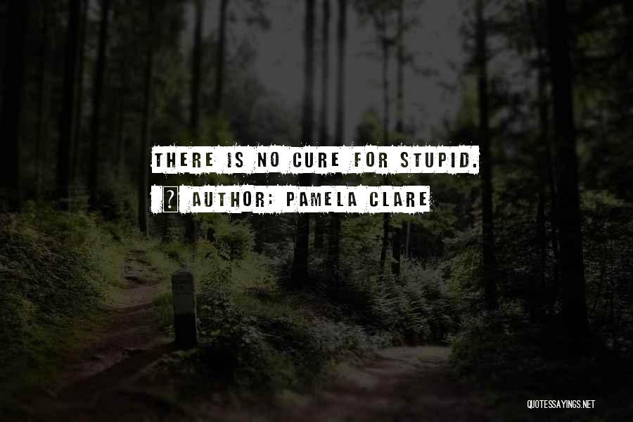 Pamela Clare Quotes: There Is No Cure For Stupid.