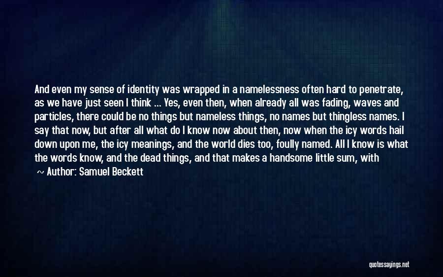 Samuel Beckett Quotes: And Even My Sense Of Identity Was Wrapped In A Namelessness Often Hard To Penetrate, As We Have Just Seen