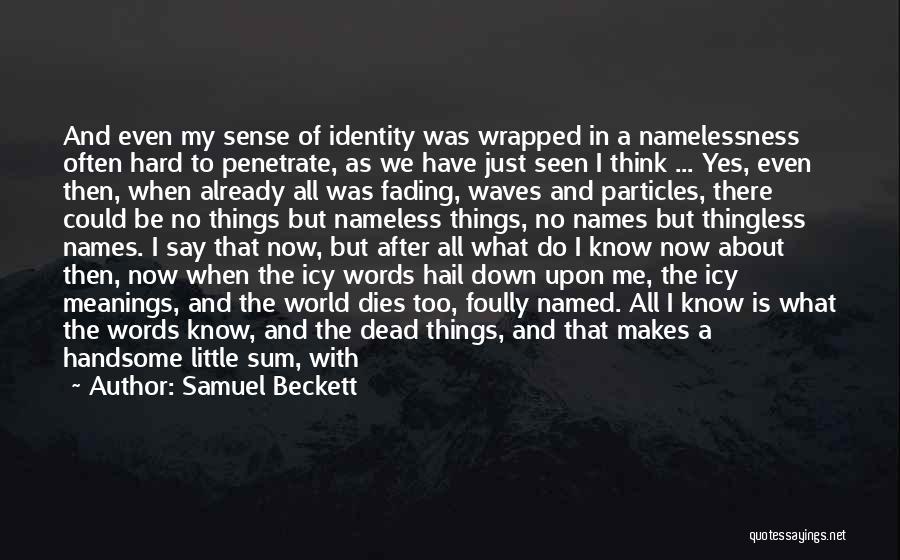 Samuel Beckett Quotes: And Even My Sense Of Identity Was Wrapped In A Namelessness Often Hard To Penetrate, As We Have Just Seen