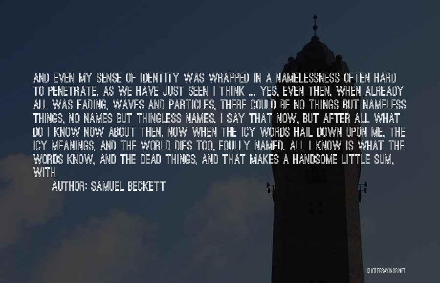 Samuel Beckett Quotes: And Even My Sense Of Identity Was Wrapped In A Namelessness Often Hard To Penetrate, As We Have Just Seen