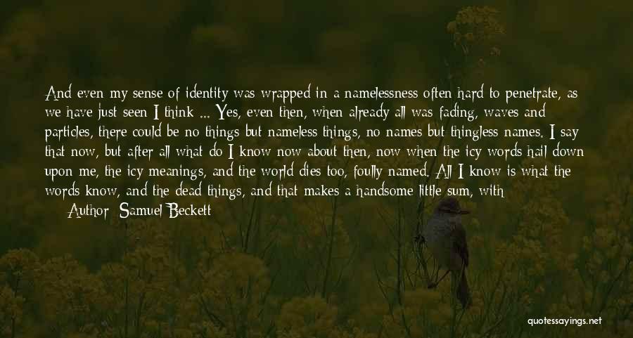 Samuel Beckett Quotes: And Even My Sense Of Identity Was Wrapped In A Namelessness Often Hard To Penetrate, As We Have Just Seen