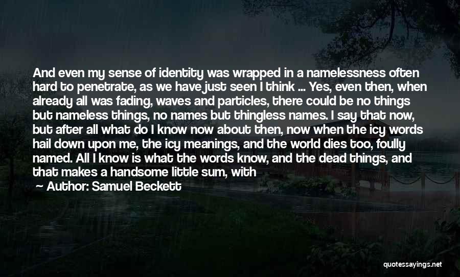 Samuel Beckett Quotes: And Even My Sense Of Identity Was Wrapped In A Namelessness Often Hard To Penetrate, As We Have Just Seen