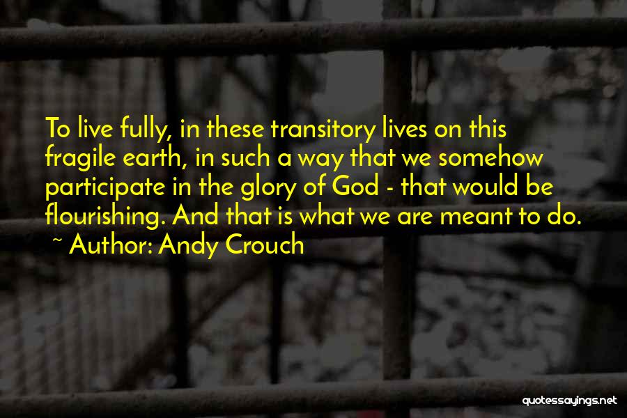 Andy Crouch Quotes: To Live Fully, In These Transitory Lives On This Fragile Earth, In Such A Way That We Somehow Participate In