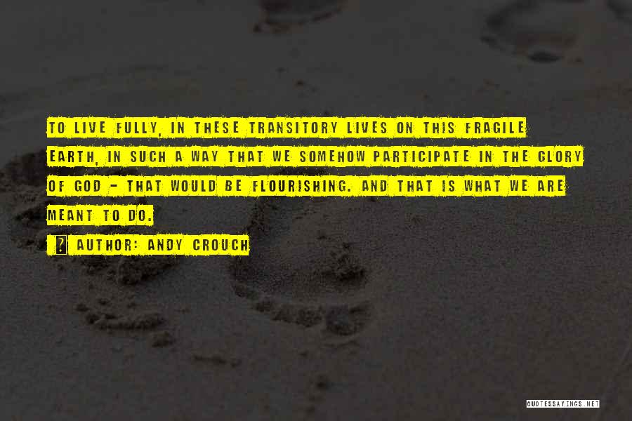 Andy Crouch Quotes: To Live Fully, In These Transitory Lives On This Fragile Earth, In Such A Way That We Somehow Participate In