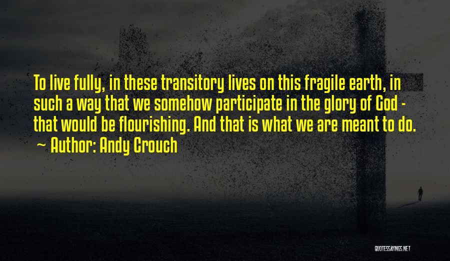 Andy Crouch Quotes: To Live Fully, In These Transitory Lives On This Fragile Earth, In Such A Way That We Somehow Participate In