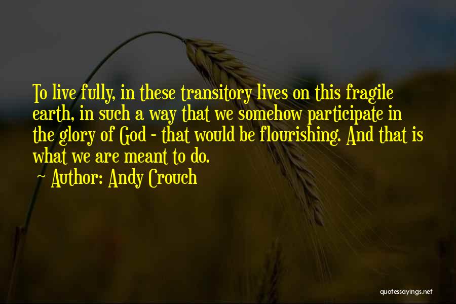 Andy Crouch Quotes: To Live Fully, In These Transitory Lives On This Fragile Earth, In Such A Way That We Somehow Participate In