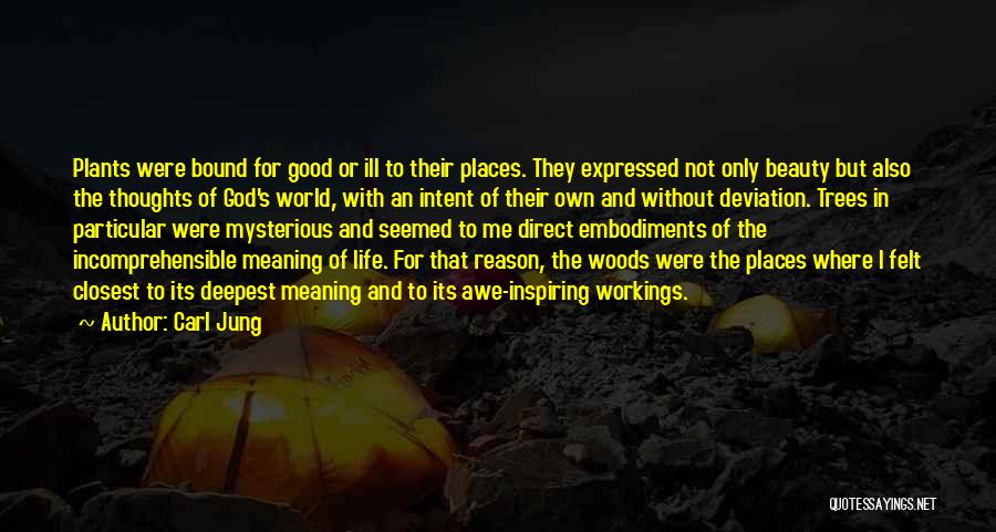 Carl Jung Quotes: Plants Were Bound For Good Or Ill To Their Places. They Expressed Not Only Beauty But Also The Thoughts Of