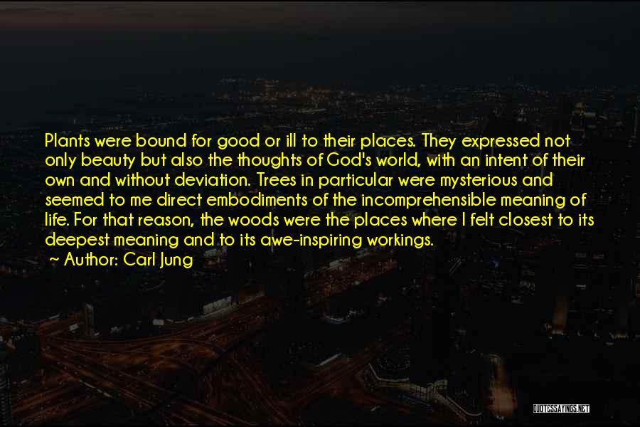 Carl Jung Quotes: Plants Were Bound For Good Or Ill To Their Places. They Expressed Not Only Beauty But Also The Thoughts Of