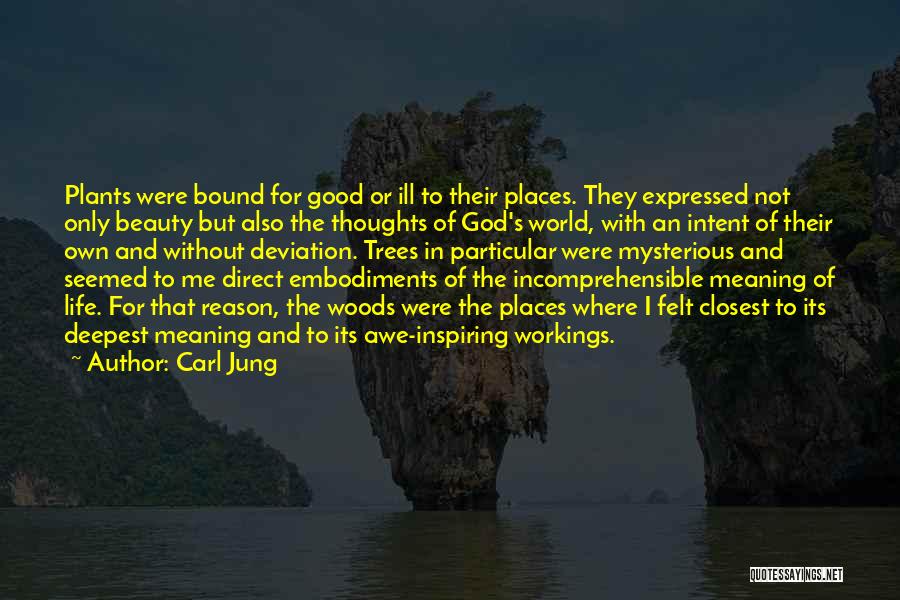 Carl Jung Quotes: Plants Were Bound For Good Or Ill To Their Places. They Expressed Not Only Beauty But Also The Thoughts Of