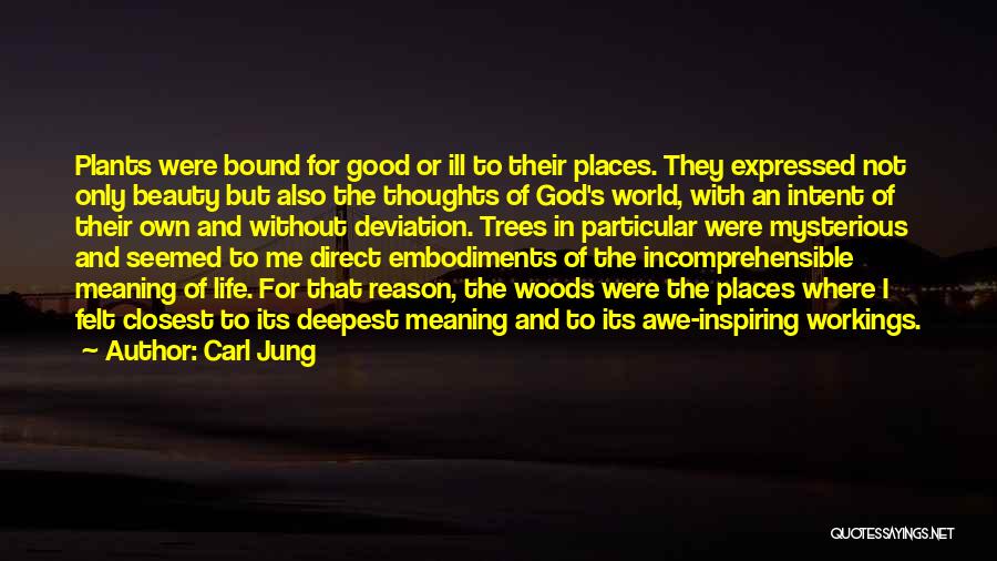 Carl Jung Quotes: Plants Were Bound For Good Or Ill To Their Places. They Expressed Not Only Beauty But Also The Thoughts Of