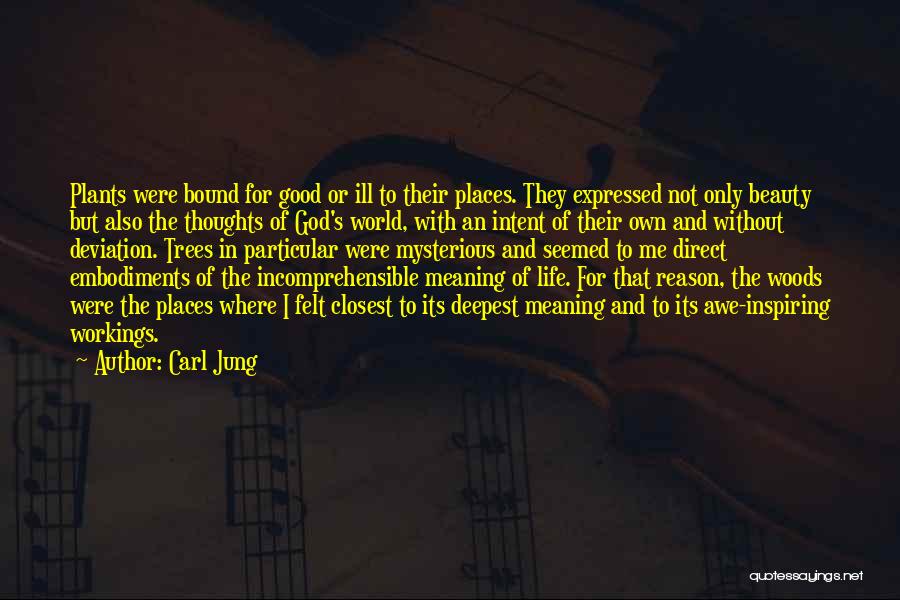 Carl Jung Quotes: Plants Were Bound For Good Or Ill To Their Places. They Expressed Not Only Beauty But Also The Thoughts Of