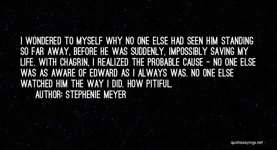 Stephenie Meyer Quotes: I Wondered To Myself Why No One Else Had Seen Him Standing So Far Away, Before He Was Suddenly, Impossibly