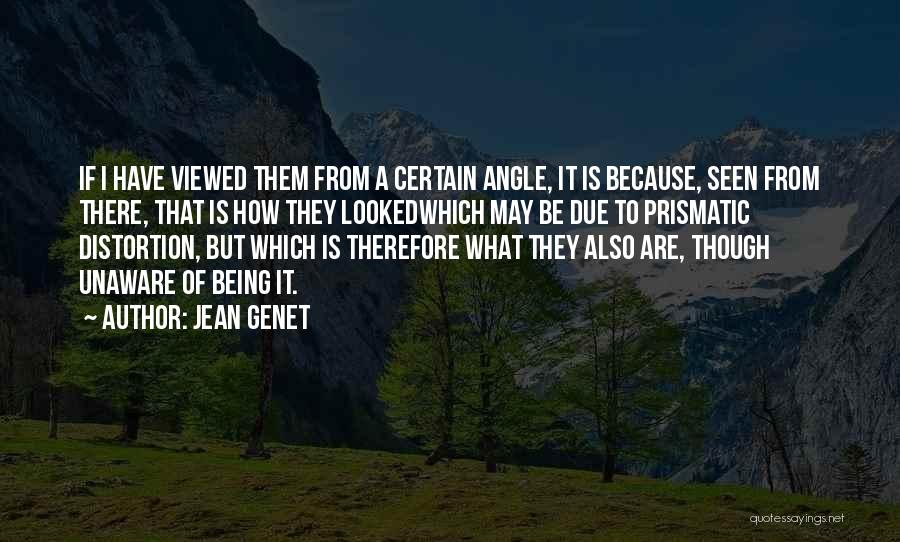 Jean Genet Quotes: If I Have Viewed Them From A Certain Angle, It Is Because, Seen From There, That Is How They Lookedwhich