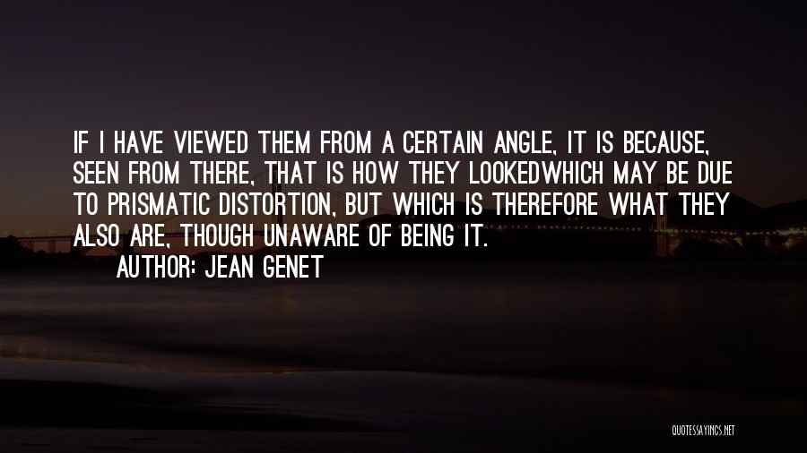 Jean Genet Quotes: If I Have Viewed Them From A Certain Angle, It Is Because, Seen From There, That Is How They Lookedwhich