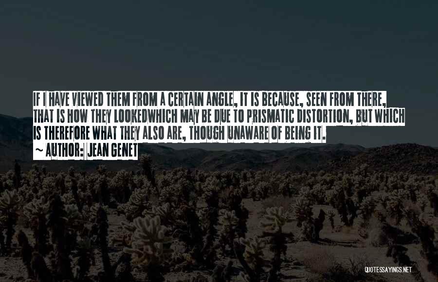 Jean Genet Quotes: If I Have Viewed Them From A Certain Angle, It Is Because, Seen From There, That Is How They Lookedwhich