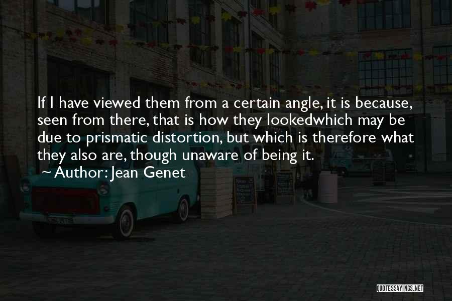 Jean Genet Quotes: If I Have Viewed Them From A Certain Angle, It Is Because, Seen From There, That Is How They Lookedwhich