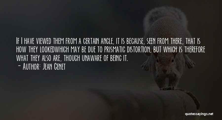 Jean Genet Quotes: If I Have Viewed Them From A Certain Angle, It Is Because, Seen From There, That Is How They Lookedwhich