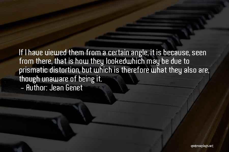 Jean Genet Quotes: If I Have Viewed Them From A Certain Angle, It Is Because, Seen From There, That Is How They Lookedwhich