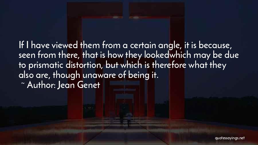 Jean Genet Quotes: If I Have Viewed Them From A Certain Angle, It Is Because, Seen From There, That Is How They Lookedwhich