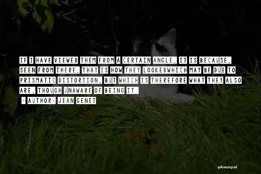 Jean Genet Quotes: If I Have Viewed Them From A Certain Angle, It Is Because, Seen From There, That Is How They Lookedwhich