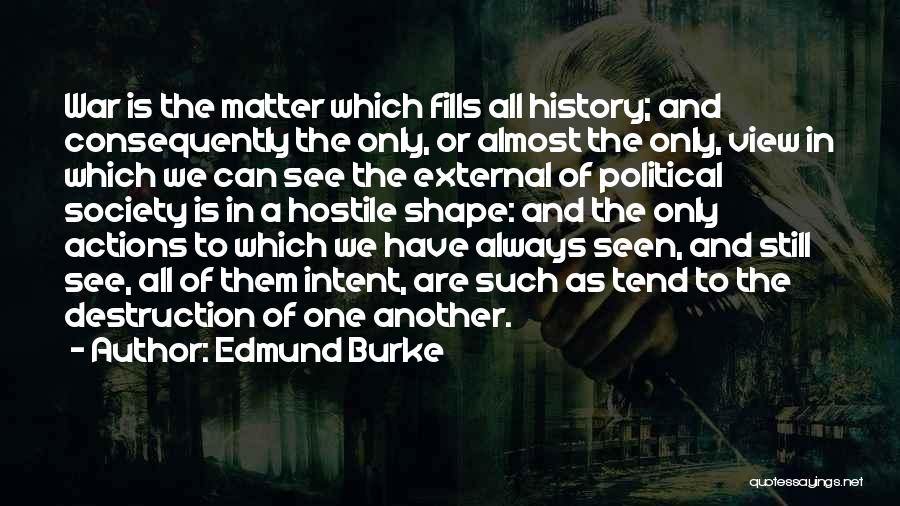 Edmund Burke Quotes: War Is The Matter Which Fills All History; And Consequently The Only, Or Almost The Only, View In Which We