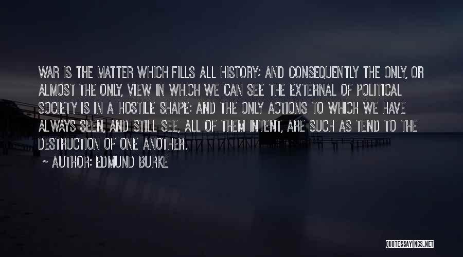 Edmund Burke Quotes: War Is The Matter Which Fills All History; And Consequently The Only, Or Almost The Only, View In Which We