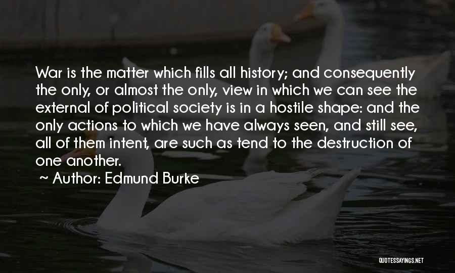 Edmund Burke Quotes: War Is The Matter Which Fills All History; And Consequently The Only, Or Almost The Only, View In Which We
