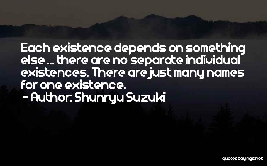 Shunryu Suzuki Quotes: Each Existence Depends On Something Else ... There Are No Separate Individual Existences. There Are Just Many Names For One